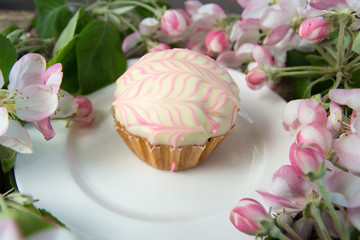 Cupcake or muffin with fresh spring blossom branches