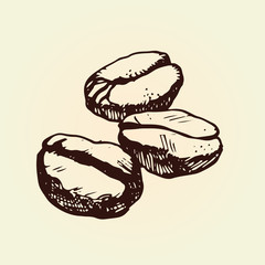 Hand Drawn Coffee Beans. Outline Illustration. Isolated Vector Drawing.