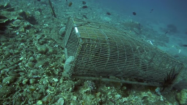 Fish trap on ocean floor at Apo Island, Philippines 
