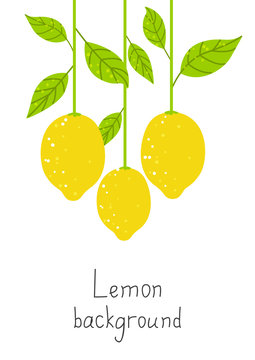 Lemon background for Your design