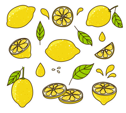 Lemon set for Your design