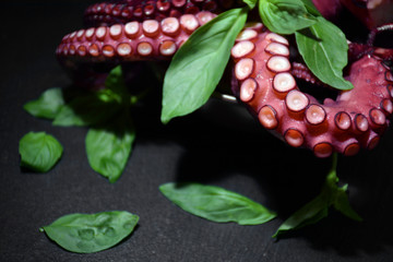 plate full of Octopus with basil leaves