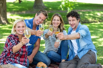 Friends having a picnic with wine