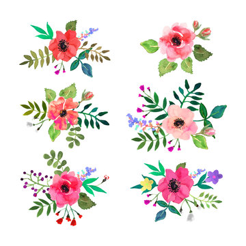 Vector flowers set. Colorful floral collection with leaves and flowers drawn watercolor for your design.
