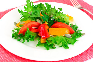 Healthy and diet food: Lettuce, tomato, pepper, seeds, oil, salt