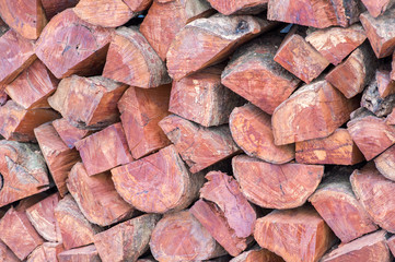 Wall of wood logs. Background.