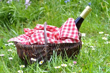 Bouteille de vin rouge dans un panier en osier posé dans l'herbe