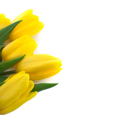 Bouquet of yellow tulips isolated on white background