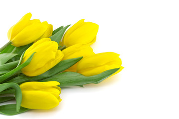 Bouquet of yellow tulips isolated on white background 