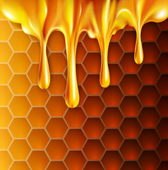 vector background with honeycombs and honey