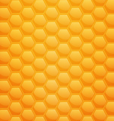 vector background with honeycombs