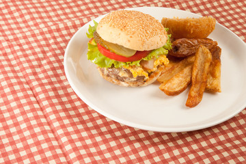 Hamburger and fried in dish on picnic 
