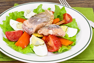 Salmon, Lettuce, Tomato and Sweet Pepper with Egg