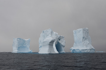 Icebergs in Antarctica