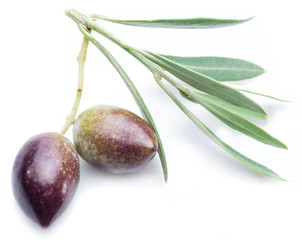 Two fresh olives with leaves on the white background.