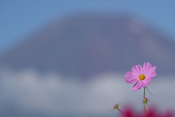 夏山をバックに秋の一声