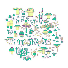 Mushrooms. vector hand drawn illustration