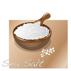 sea salt in wooden bowl vector isolated