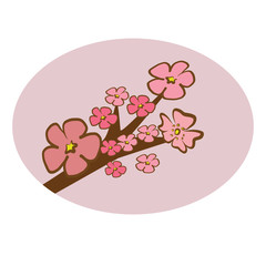 Cherry Blossom tree branch pink tone illustration vector