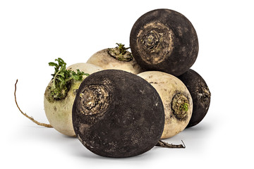 Fresh ripe organic black and white radishes isolated on white background