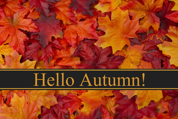 Naklejka na ściany i meble Hello Autumn Message