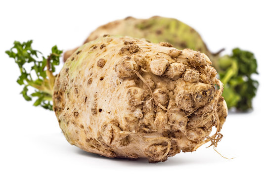 Two fresh organic celery roots with leaves on a white background