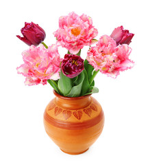 tulips in a vase isolated on white background