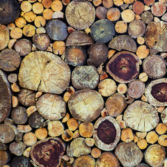 Dry chopped firewood logs stacked up on top of each other in a p