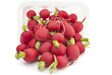 Box or punnet and spilled raw organic small garden radishes isolated on white background