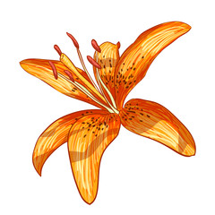 Vector illustration digital painting of flower