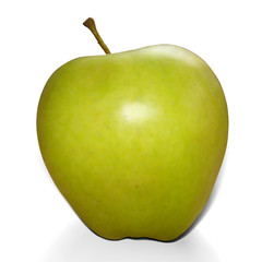 Realistic mesh green apple