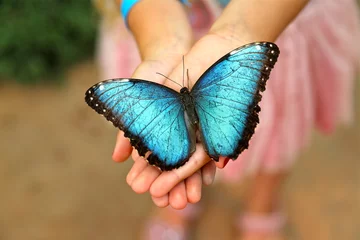 Photo sur Plexiglas Papillon Papillon Morpho bleu dans les mains des filles