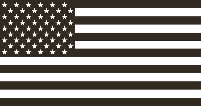 Flag american black and white in flat design