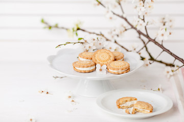 Fototapeta na wymiar Cookies on white plate with blossom plum tree