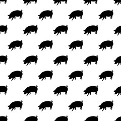 Pig pattern seamless