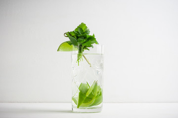 Fresh cocktail with mint on the wooden background