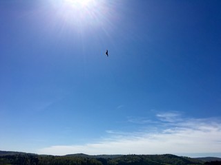 Freiheit 