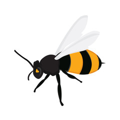 Honey bee cvector