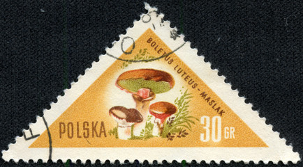 stamp printed in POLAND shows a mushroom Suillus luteus