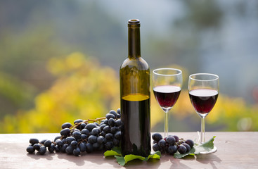 Obraz premium Red wine