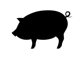 Black pig icon on white background, vector silhouette