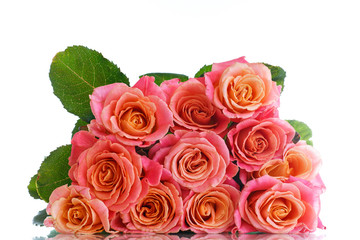 bouquet of pink roses