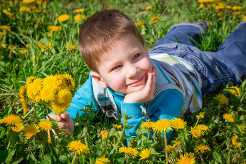 Little boy with bunch of dandelions on lawn