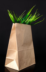 Kraft bag with grass on a black background.Green sale