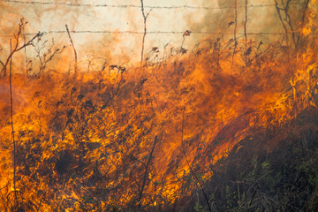 fire and smoke, burning prairie grass, Flint Hills, Kansas