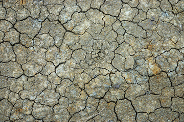Crack soil on dry season, Global worming effect.