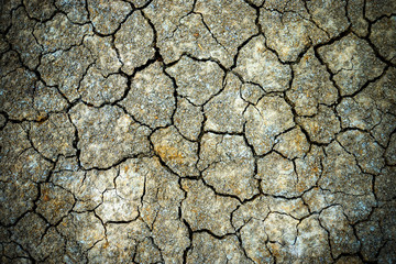 Crack soil on dry season, Global worming effect.