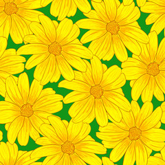 Seamless pattern of yellow flowers