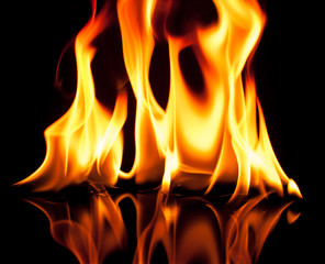 Fire flames on a black background