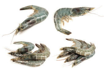 Collage of Fresh shrimp on a white background.